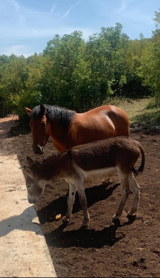 Etno Selo Montegoat Hotel Niksic Luaran gambar